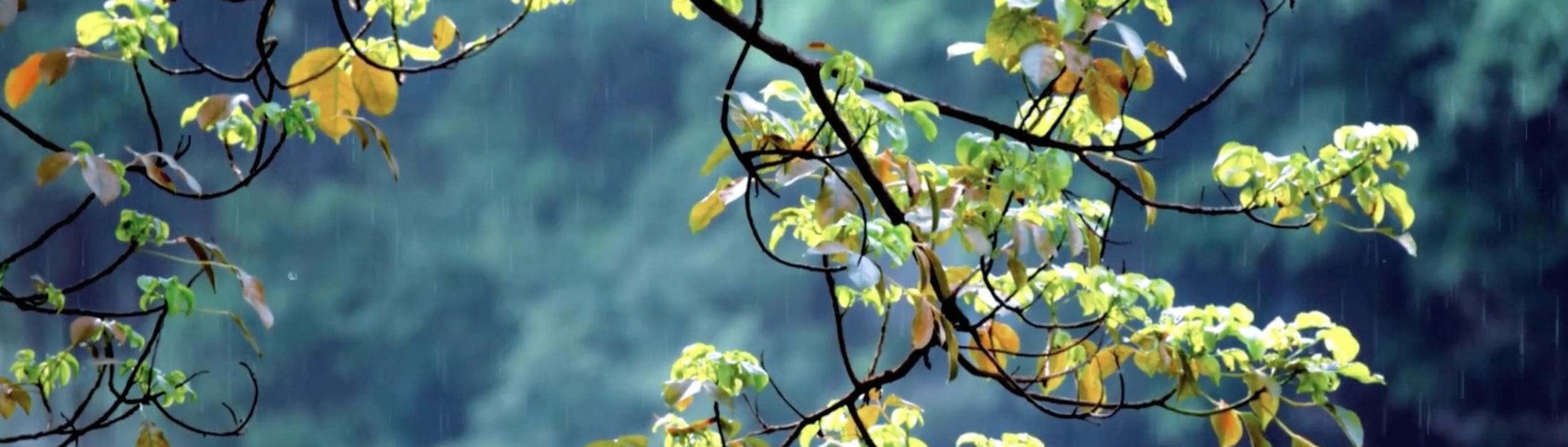 Cover Image for Calendar