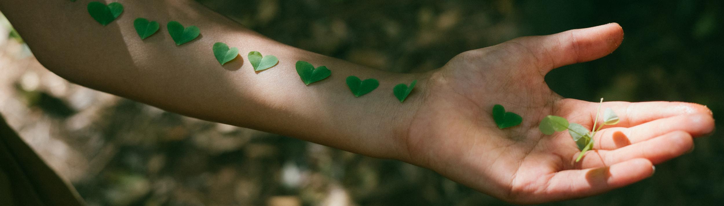 Cover Image for Calendar