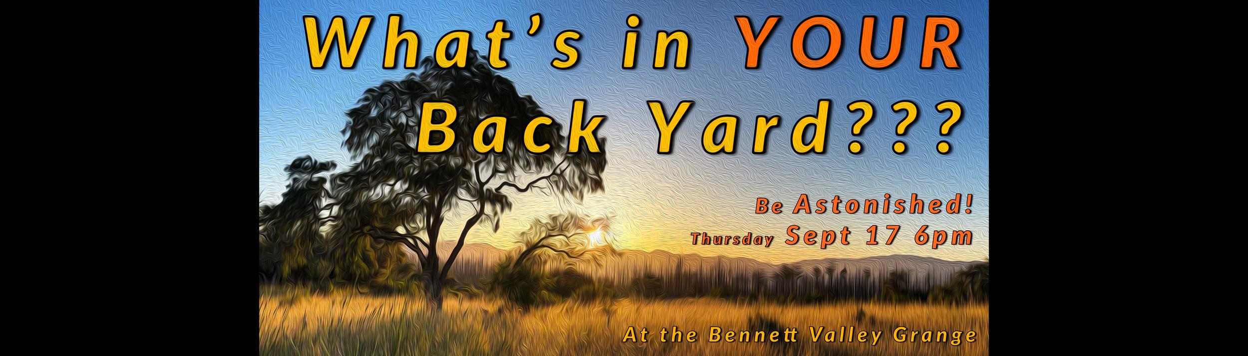 Cover Image for Calendar