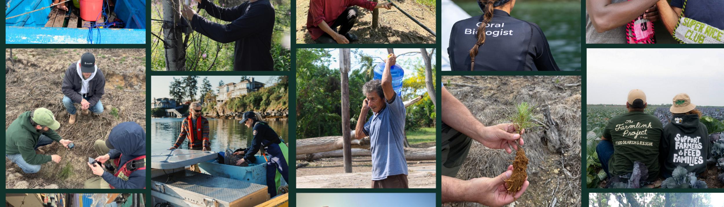 Cover Image for Calendar