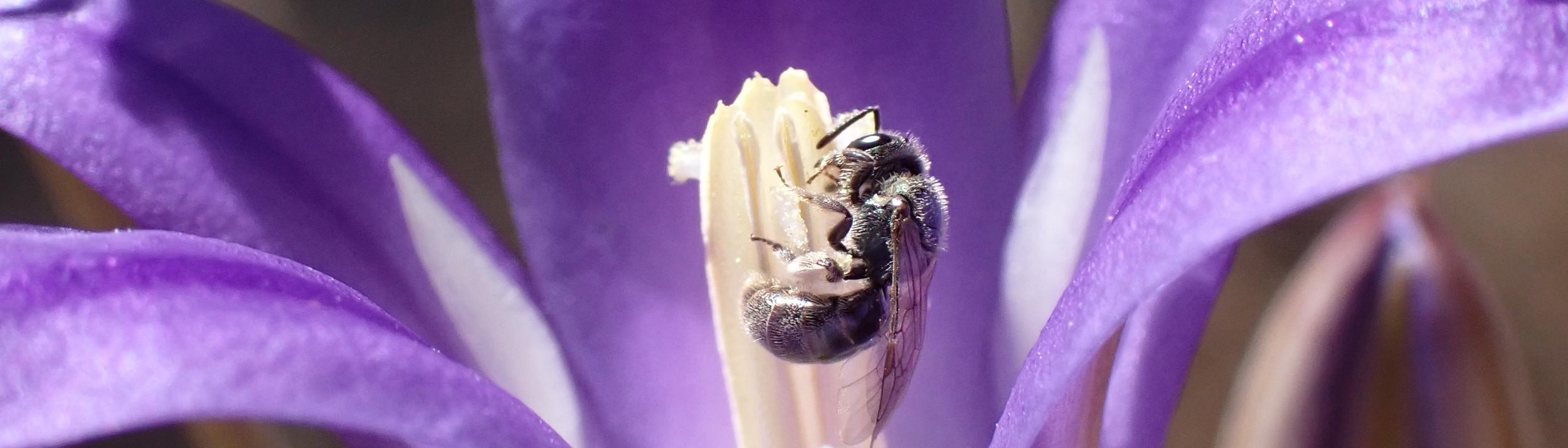 Cover Image for Calendar