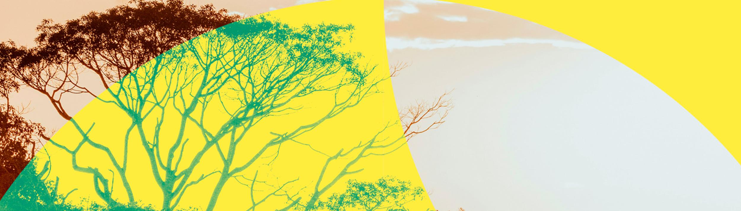 Cover Image for Calendar