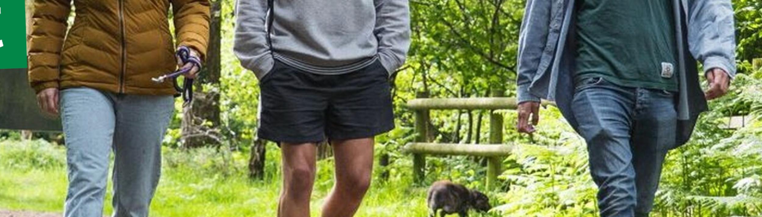 Cover Image for Calendar