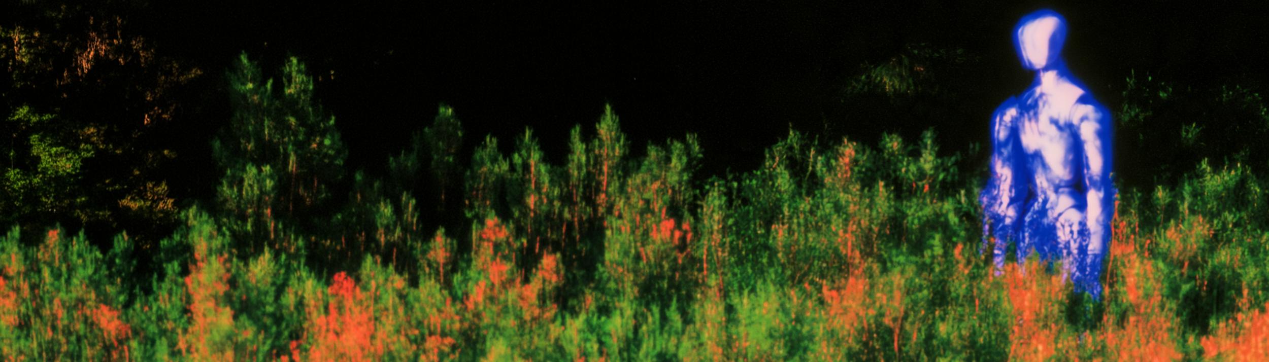 Cover Image for Calendar