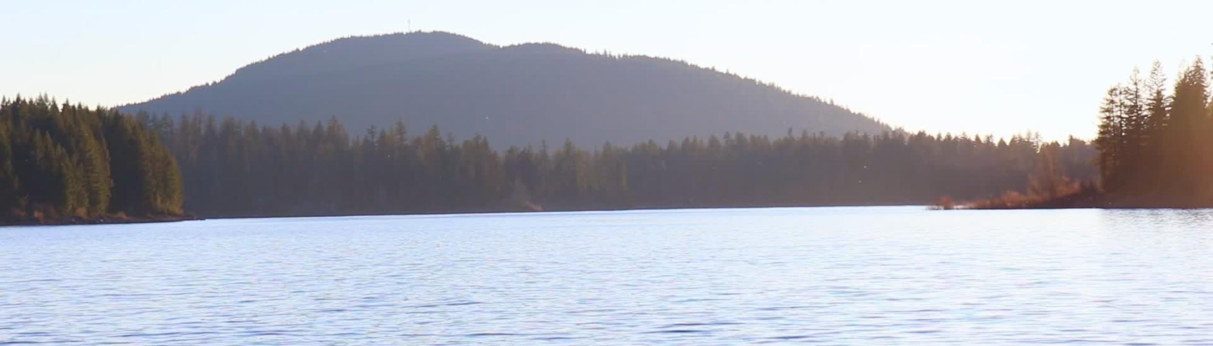 Cover Image for Calendar