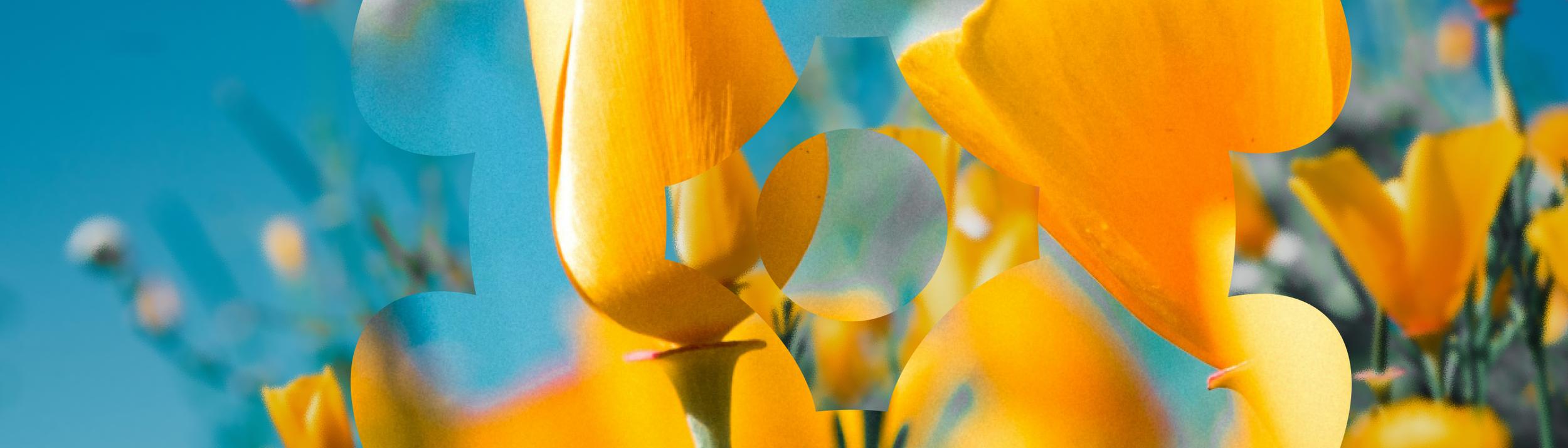 Cover Image for Calendar