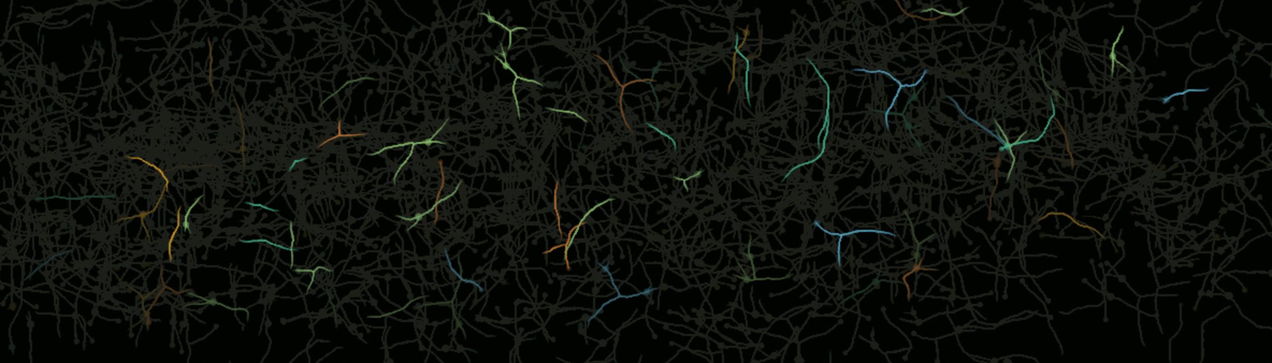 Cover Image for Calendar