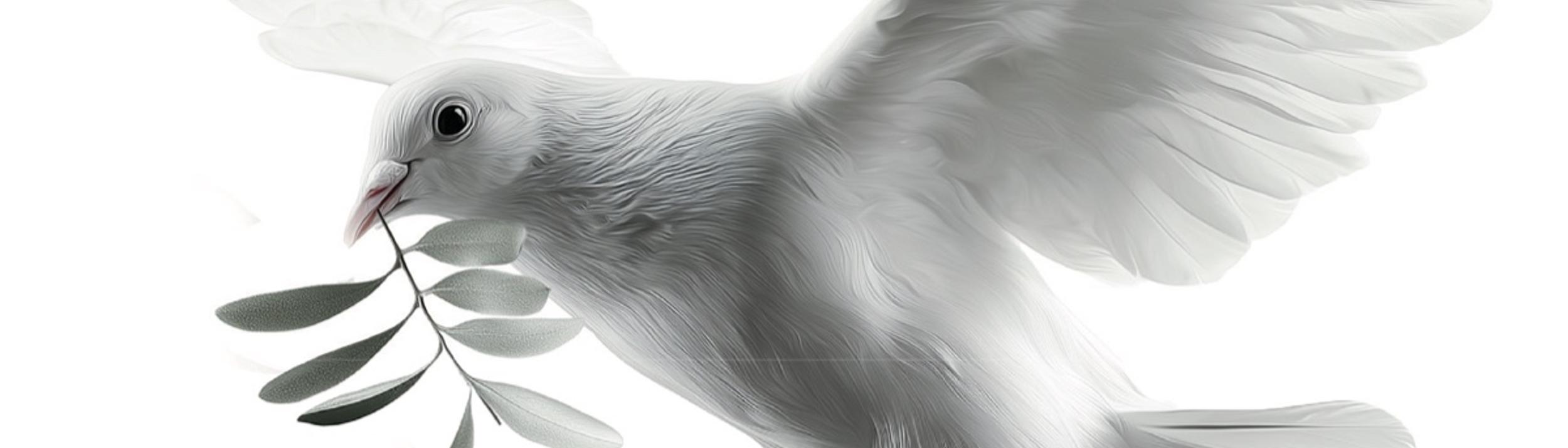 Cover Image for Calendar