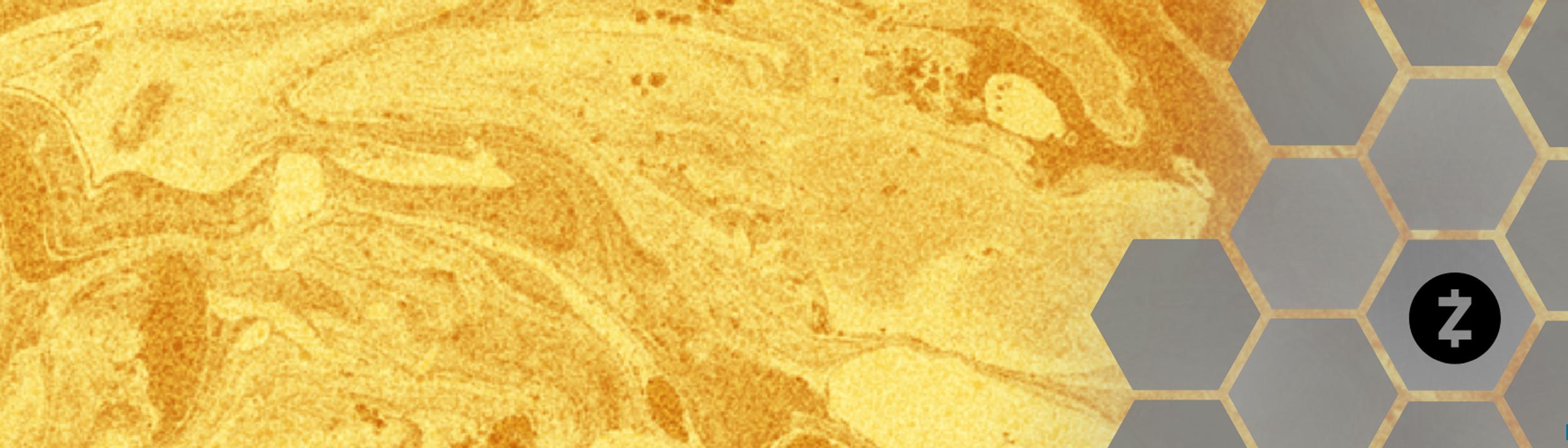 Cover Image for Calendar