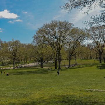 Cover Image for Fall Family Picnic in Central Park!