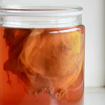 Cover Image for Kombucha Making