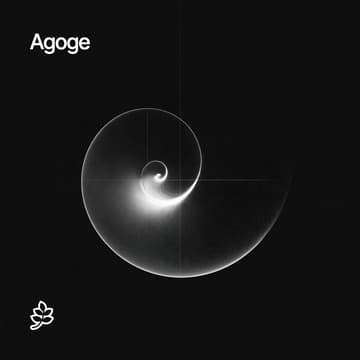 Cover Image for Agoge: Leadership Academy