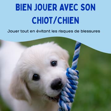 Cover Image for Bien jouer avec son chiot