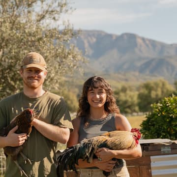 Cover Image for 11/14 Backyard Chicken Care Workshop