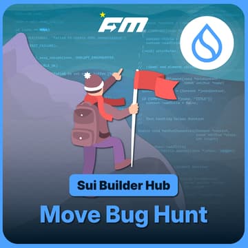 Cover Image for Sui Builder Hub: Move Bug Hunt