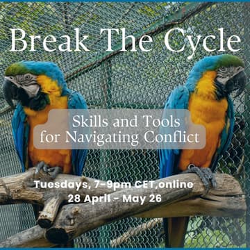 Cover Image for Break the Cycle: Skills and Tools for Navigating Conflict