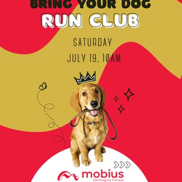 Cover Image for Dog Run Club