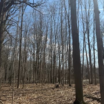 Cover Image for Claireville conservation area – Brampton – 10km+ hike – [Free Parking]