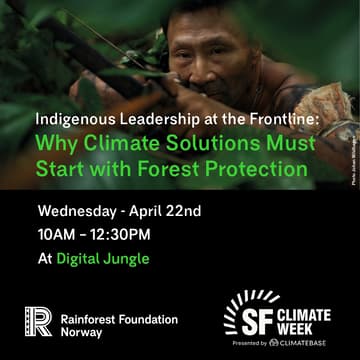 Cover Image for Indigenous Leadership at the Frontline: Why Climate Solutions Must Start with Forest Protection