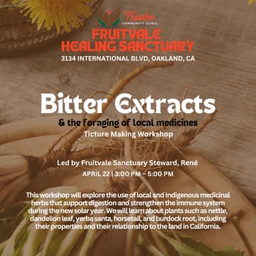 Cover Image for Bitter Extracts: and the foraging of local medicines