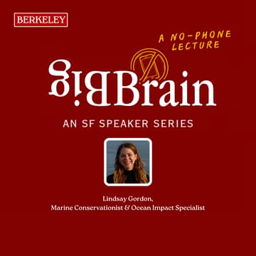 Cover Image for Beneath the Surface: What’s Really Happening in Our Oceans