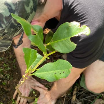 Cover Image for Regen Hub @ IPE Village 2026