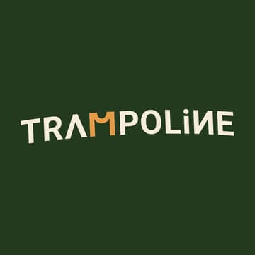 Cover Image for Offline With The Trampoline Club