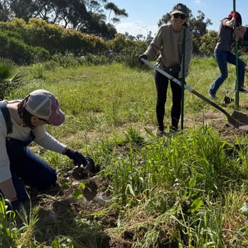 Cover Image for Growing Good Saturday: Native Plants & Pollinators With RCD