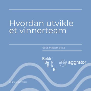 Cover Image for ESSE 2: Hvordan utvikle et vinnerteam