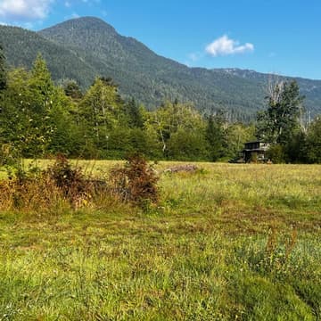 Cover Image for DwebYVR Field Trip to Elphinstone Farm