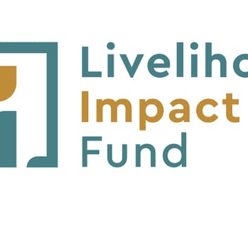 Cover Image for Impact Lab Conference-Donor Registrations