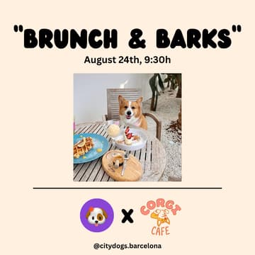 Cover Image for City Dogs | "Brunch & Barks"