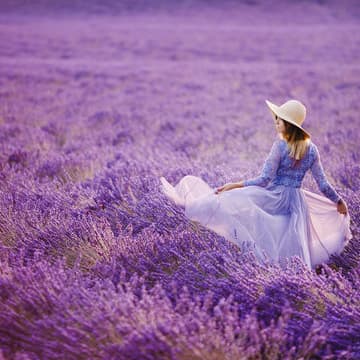 Cover Image for Lavender Farms (girls only)