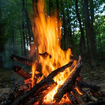 Cover Image for Walpurgisnacht