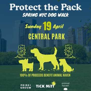 Cover Image for Protect the Pack NYC Dog Walk with Pride + Groom and Animal Haven