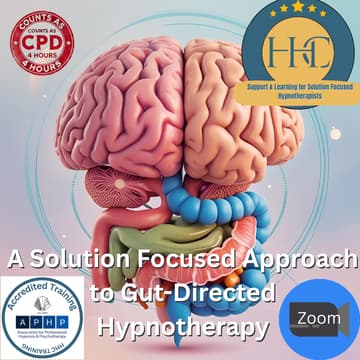 Cover Image for A Solution-Focused Approach to Gut-Directed Hypnotherapy