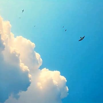 Cover Image for 2RCon Online 2025 - Integration & Continuation Call