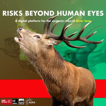 Cover Image for River Tone Risks Beyond Human Eyes: Final Event