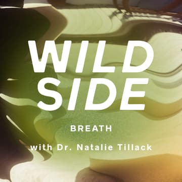 Cover Image for 🛸 Rooftop/Fireplace PSYCHEDELIC BREATH™ ☀️