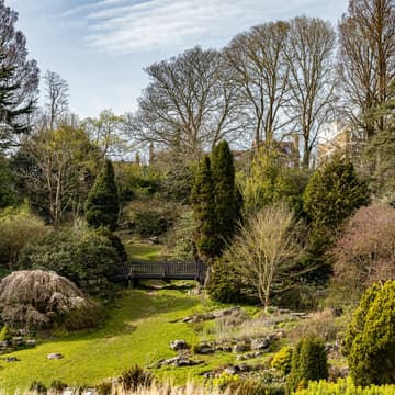 Cover Image for Strolling Group