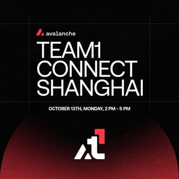 Cover Image for Avalanche Team1 Connect Shanghai