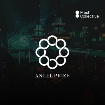 Cover Image for Mesh Collective Angel Prize