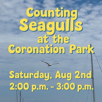 Cover Image for Counting Seagulls at the Coronation Park