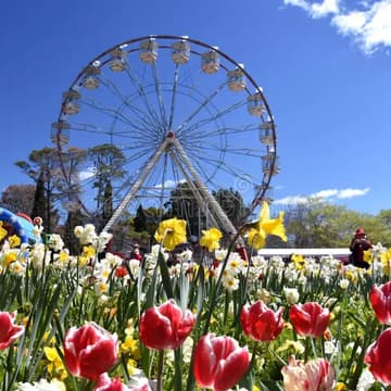 Cover Image for 2026 – Porte du Changement | Équinoxe de Printemps 🌷