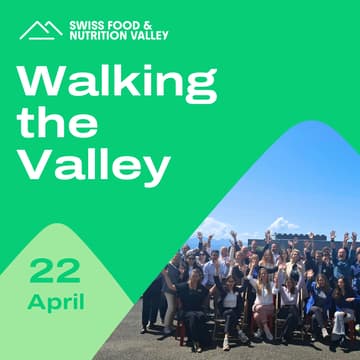 Cover Image for Walking the Valley