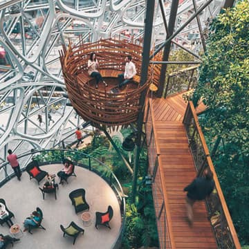 Cover Image for Nature-Inspired Cities: A Biomimicry Workshop for Designing the Future