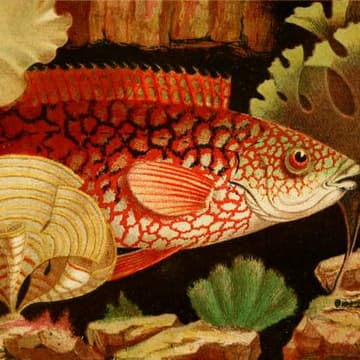 Cover Image for AI Literacy Salon: Beyond Prediction