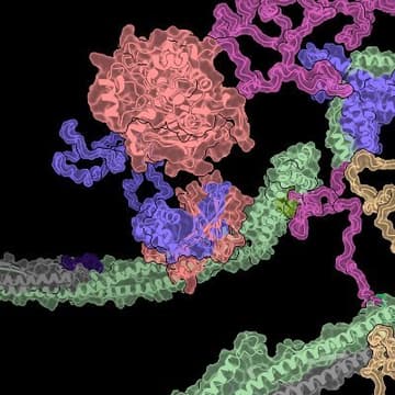 Cover Image for Machine Learning in Structural Biology