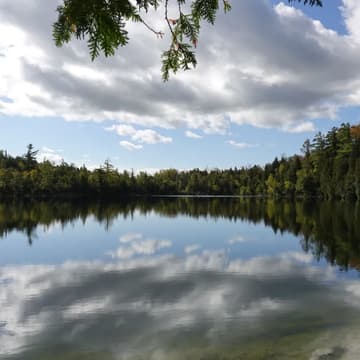 Cover Image for ROM Curator Conversation: Crawford Lake