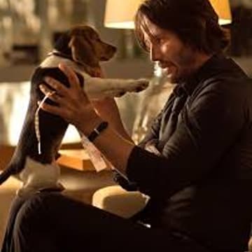 Cover Image for Fur-iday Night Flicks: John Wick